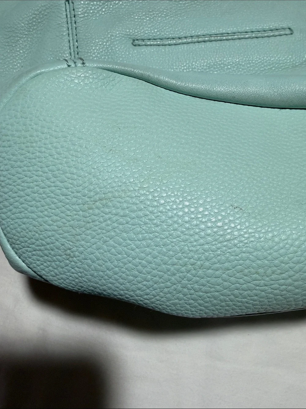 The Sak Sequoia Hobo Mint Green Pebbled Leather Shoulder Bag  Purse